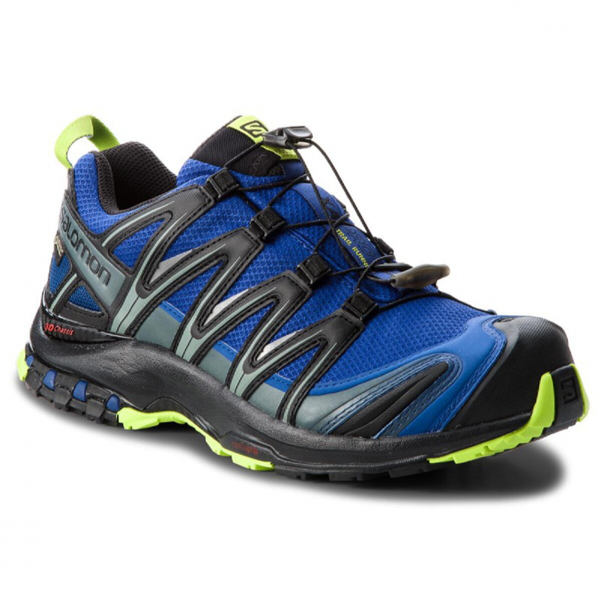 Кросівки чоловічі SALOMON  Xa Pro 3D Gtx GORE-TEX  404721  - Зображення