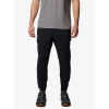 Брюки чоловічі Columbia Sage Peak™ Tapered Chino Pant 2095041 - Зображення №1