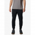 Брюки чоловічі Columbia Sage Peak™ Tapered Chino Pant 2095041
