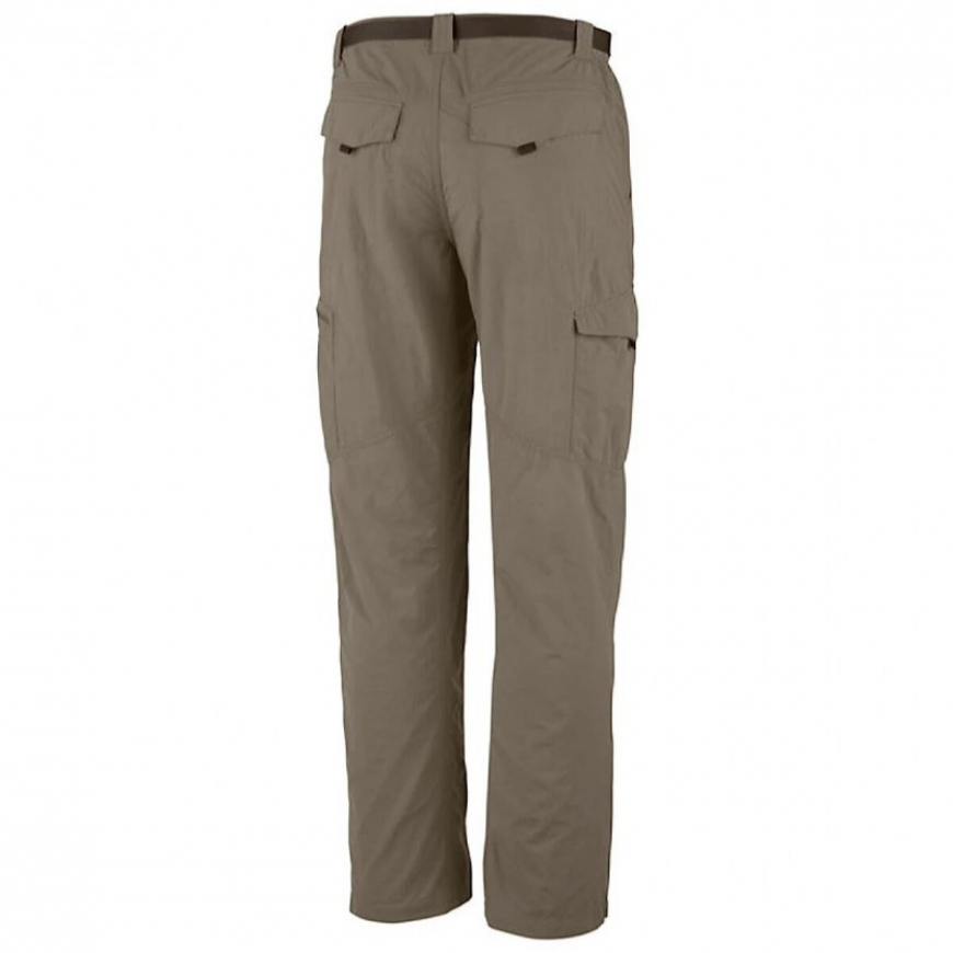 Штани чоловічі  Silver Ridge Cargo Pant 1441681 - Зображення №2