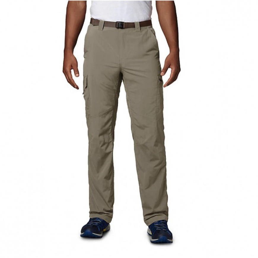 Штани чоловічі  Silver Ridge Cargo Pant 1441681 - Зображення №3