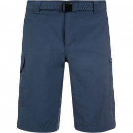 Шорти чоловічі SILVER RIDGE CARGO SHORT 1441701