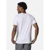 Футболка чоловіча CLB Columbia Rapid Ridge™ Graphic Tee 1888811 - Зображення №3
