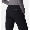 Штани жіночі Columbia Back Beauty™ Warm Softshell Pants 2051861 - Зображення №4