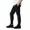 Штани чоловічі Columbia M CSC Logo™ Fleece Jogger II  1911601 - Зображення №3