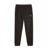 Штани чоловічі Puma BETTER ESSENTIALS Sweatpants FL cl  67681601 - Зображення №1