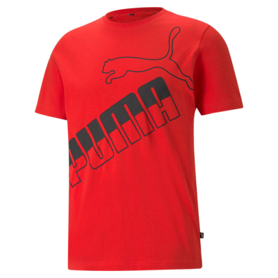 Футболка чоловіча Puma BIG LOGO MEN'S TEE 58577111