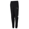 Штани чоловічі PUMA ACTIVE SPORTS YOUTH PANTS 58588001 - Зображення №1