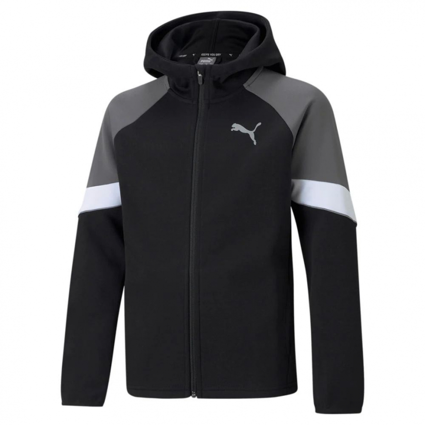 Джемпер  PUMA ACTIVE SPORTS FULL-ZIP YOUTH HOODIE 58587901 - Зображення