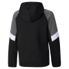 Джемпер  PUMA ACTIVE SPORTS FULL-ZIP YOUTH HOODIE 58587901 - Зображення №2