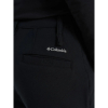 Штани жіночі Columbia Back Beauty™ Warm Softshell Pant 2051863 - Зображення №6
