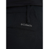 Штани жіночі Columbia Back Beauty™ Warm Softshell Pant 2051863 - Зображення №7