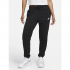Спортивні штани утеплені жіночі Nike W Nsw Club Flc Mr Pant Std DQ5191-010