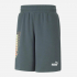 Шорти чоловічі PUMA Power Summer Shorts 67159042