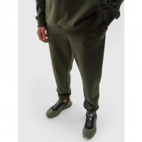 Спортивні штани на флісі 4F Trousers Cas TTROM517