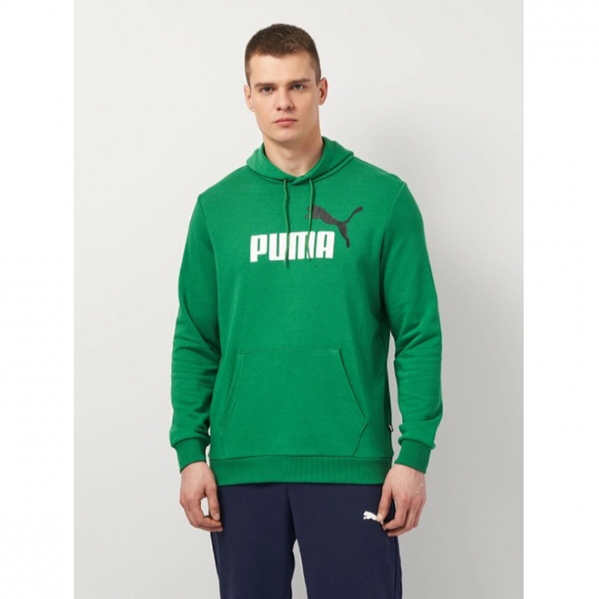 Худі чоловіче Puma Essentials+  58676586 - Зображення