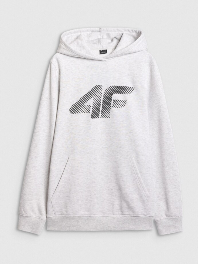 Худі чоловіче 4F WSM1766 - Зображення