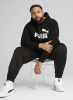 Худ чоловіче  Puma Logo Hoodie  Regular Fit Printed 68257201 - Зображення №2