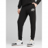 Спортивні штани чоловічі Puma Class Sweatpants Tr Cl 68465201*SS25 