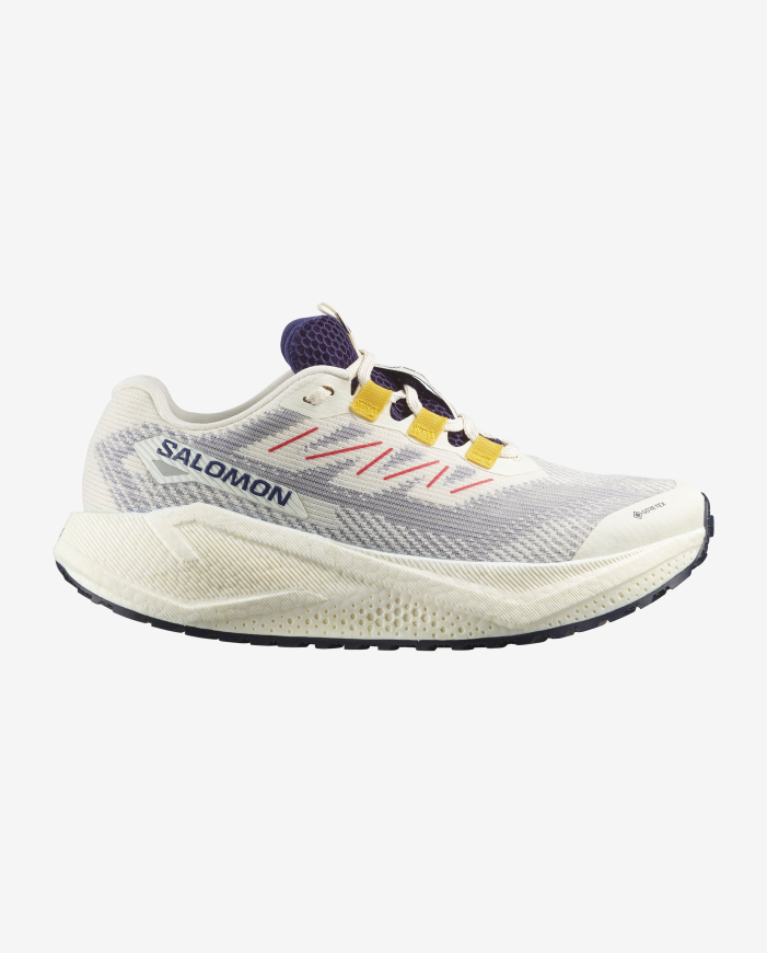 Жіночі бігові кросівки Salomon Aero Blaze 3 Grvl GTX W L47974100 - Зображення