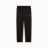 Брюки жіночі PUMA  ESS Woven Pants Women  68246201