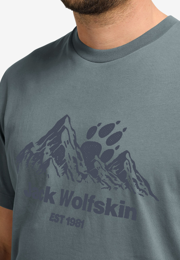 Футболка чоловіча Jack Wolfskin Carefree A66090 - Зображення №4