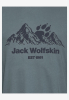 Футболка чоловіча Jack Wolfskin Carefree A66090 - Зображення №7