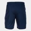 Шорты чоловічі Joma 100438.331 - Зображення №2