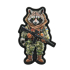 Нашивка M-TAC 51514030 Raccoon MM14