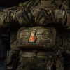 Нашивка M-TAC 51702902 Orange Cat - Зображення №11
