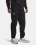 Брюки чоловіча Under Armour Icon Fleece 1373882-001