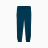 Брюки чоловічі PUMA  Essentials No. 1 Logo Sweatpants  68260736 - Зображення №4