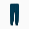 Брюки чоловічі PUMA  Essentials No. 1 Logo Sweatpants  68260736 - Зображення №5