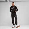 Худі чоловіче PUMA  Essentials No. 1 Logo Hoodie Men  68257001 - Зображення №3