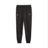  Штани чоловічі Puma MAPF1 ESS Fleece Pants 62116101 - Зображення №1