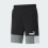 Шорти чоловічі Puma ESS+ Block Shorts 10" TR  84742901