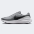 Кросівки чоловічі Nike REVOLUTION 8 HJ9198-004