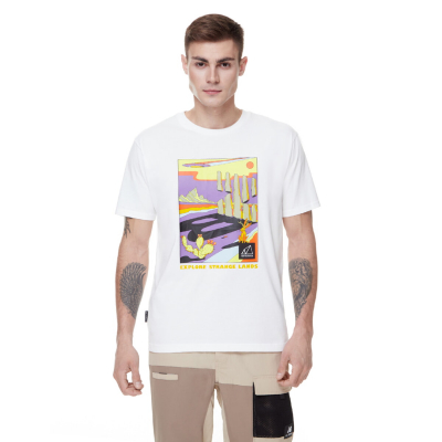 Футболка чоловіча New Balance AT Graphic Tee MT21509WT