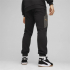 Штани чоловічі Puma KING TOP SWEAT PANTS  65899004