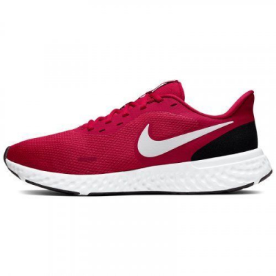 Кросівки чоловічі NIKE REVOLUTION 5 BQ3204-600