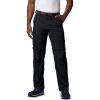 Брюки Columbia Silver Ridge Convertible Pant 1441671 - Зображення №1