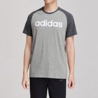 Футболка Adidas CE Raglan TEE DW7917