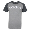 Футболка Adidas CE Raglan TEE DW7917 - Зображення №1