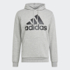 Худі чоловіче ADIDAS ESSENTIALS BIG LOGO GK9577 - Зображення №1