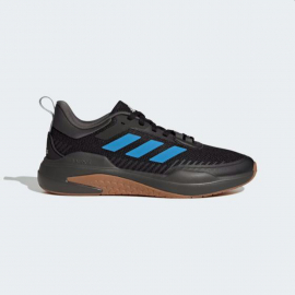 Кросівки чоловічі ADIDAS TRAINER V GW4056