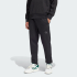 Брюки чоловічі ADIDAS ALL SZN Fleece Regular Tapered IX1246