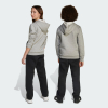 Брюки підліткові ADIDAS Seasonals Essentials Collegiate Typography Kids JM1538 - Зображення №6