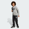 Брюки підліткові ADIDAS Seasonals Essentials Collegiate Typography Kids JM1538 - Зображення №1