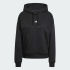 Худі жіноче ADIDAS Essentials Small Logo Feel Cozy JN1861