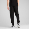 Брюки чоловічі PUMA ESSENTIALS BLOCK SWEATPANTS MEN 68468901  - Зображення №2